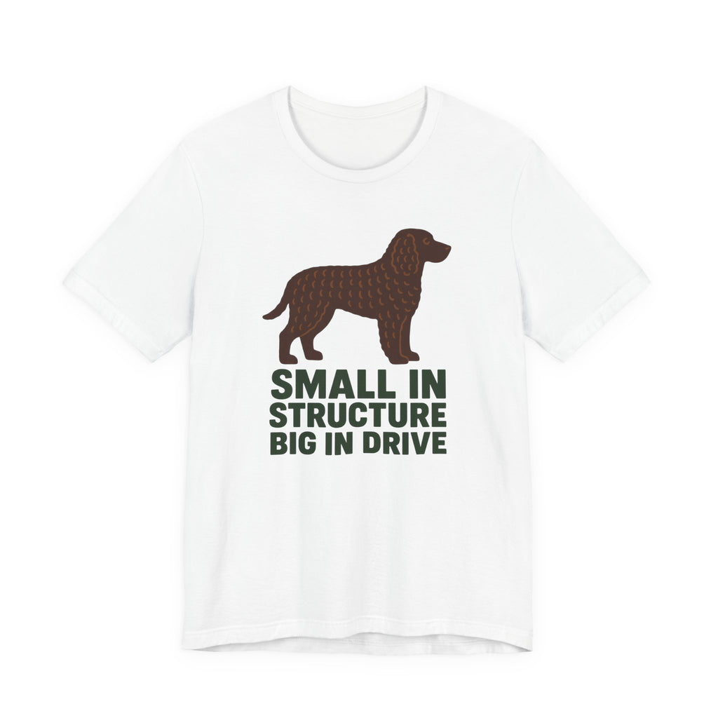 American Water Spaniel Small In Structure Big In Drive Tee