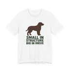 American Water Spaniel Small In Structure Big In Drive Tee