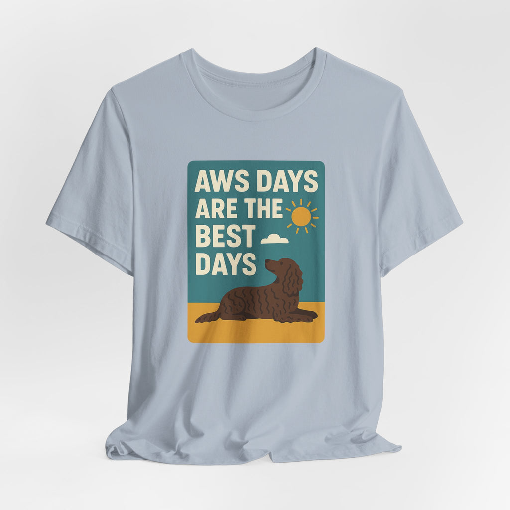 American Water Spaniel AWS Days Are The Best Days Tee