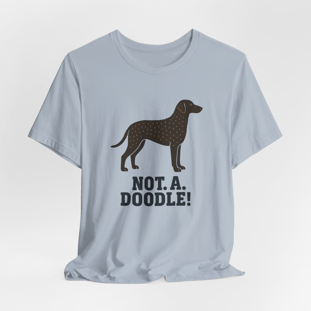 Curly-Coated Retriever Not A Doodle Tee