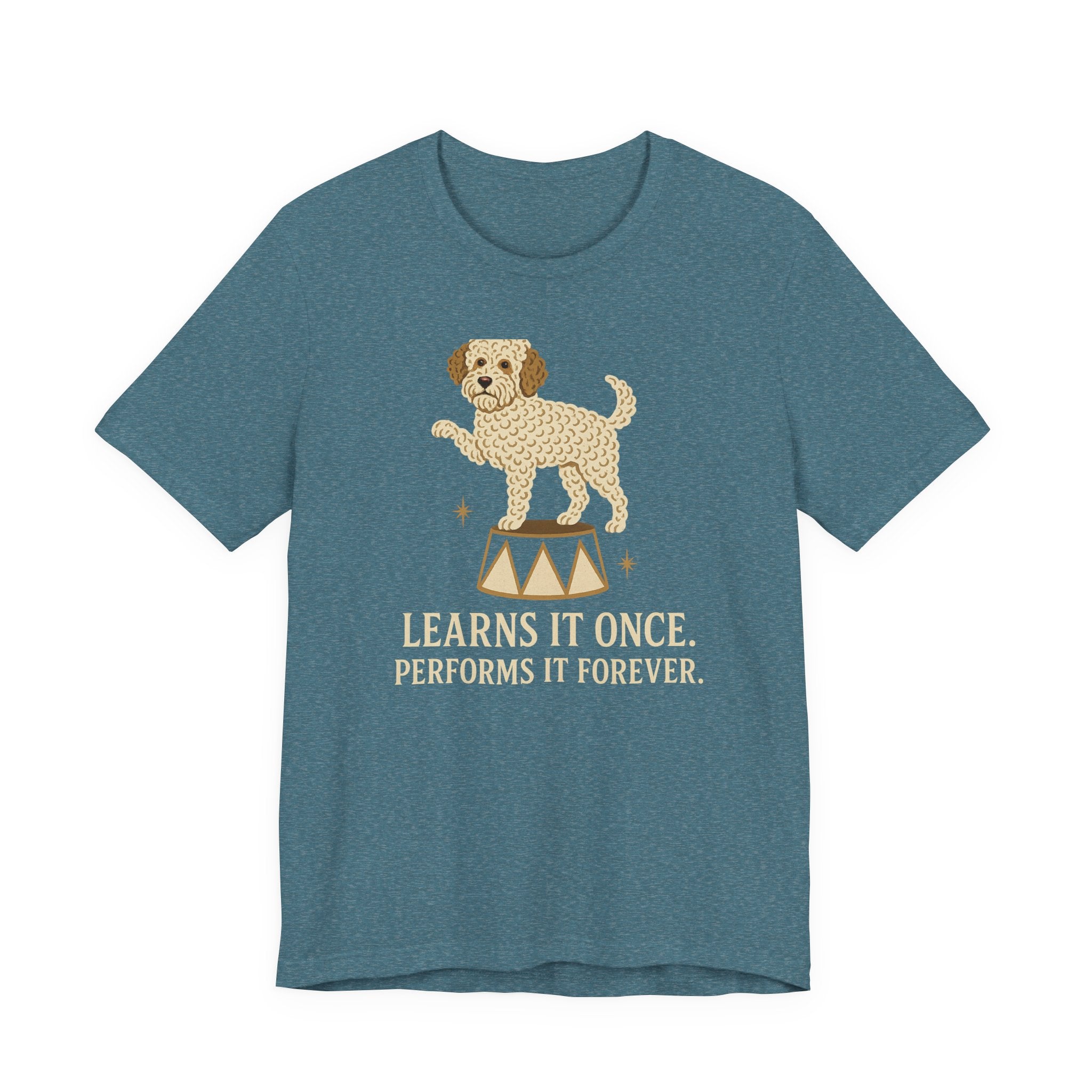 Lagotto Learns It Once Tee