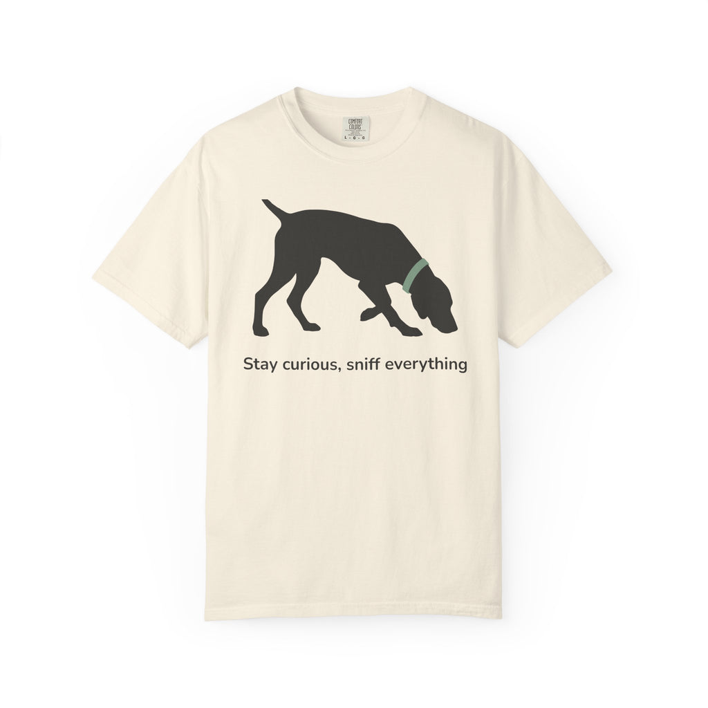 Stay Curious Vizsla T-Shirt