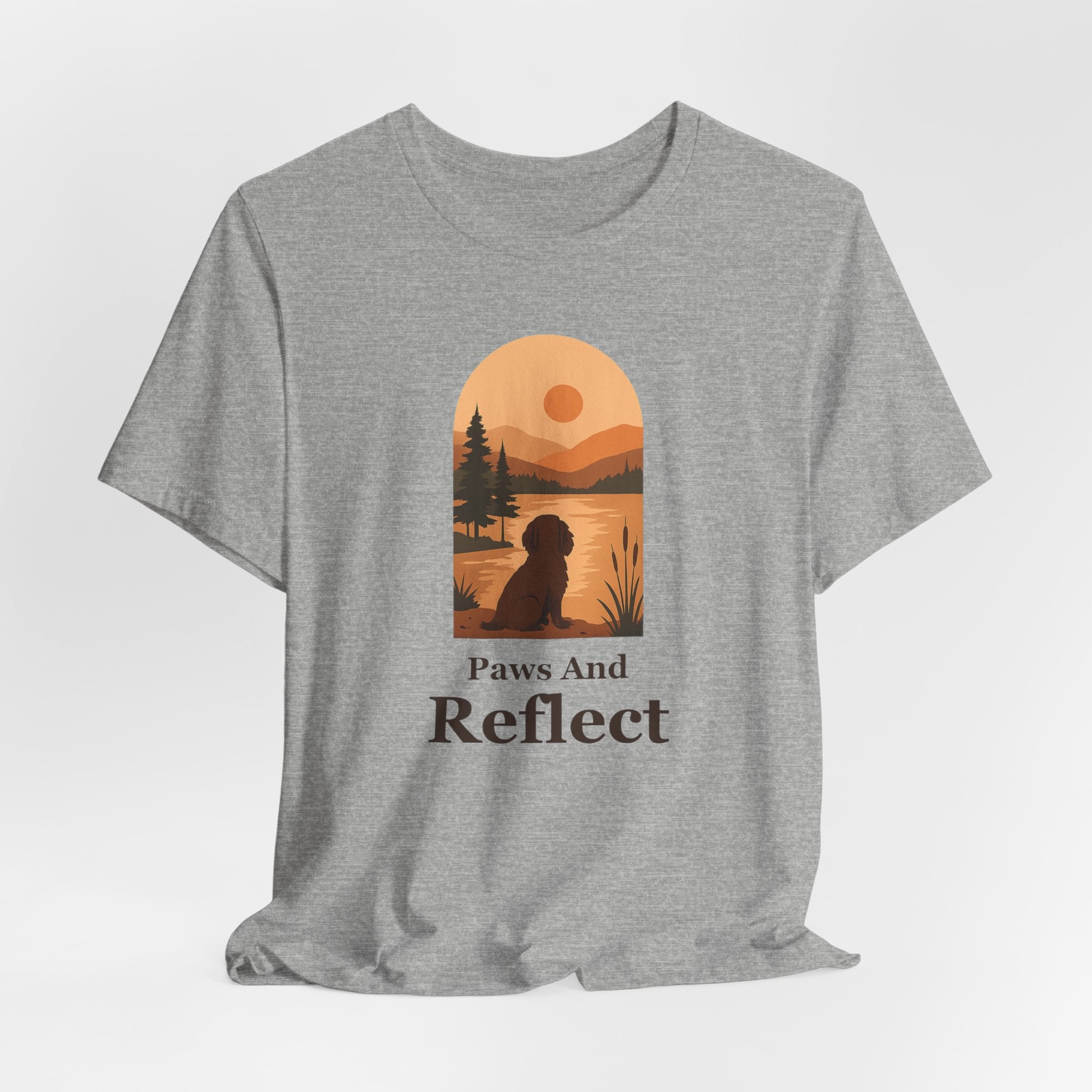 Boykin Spaniel Paws and Reflect Tee