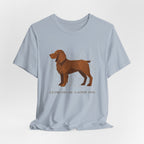 Boykin Spaniel Geometry of a Good Dog Tee