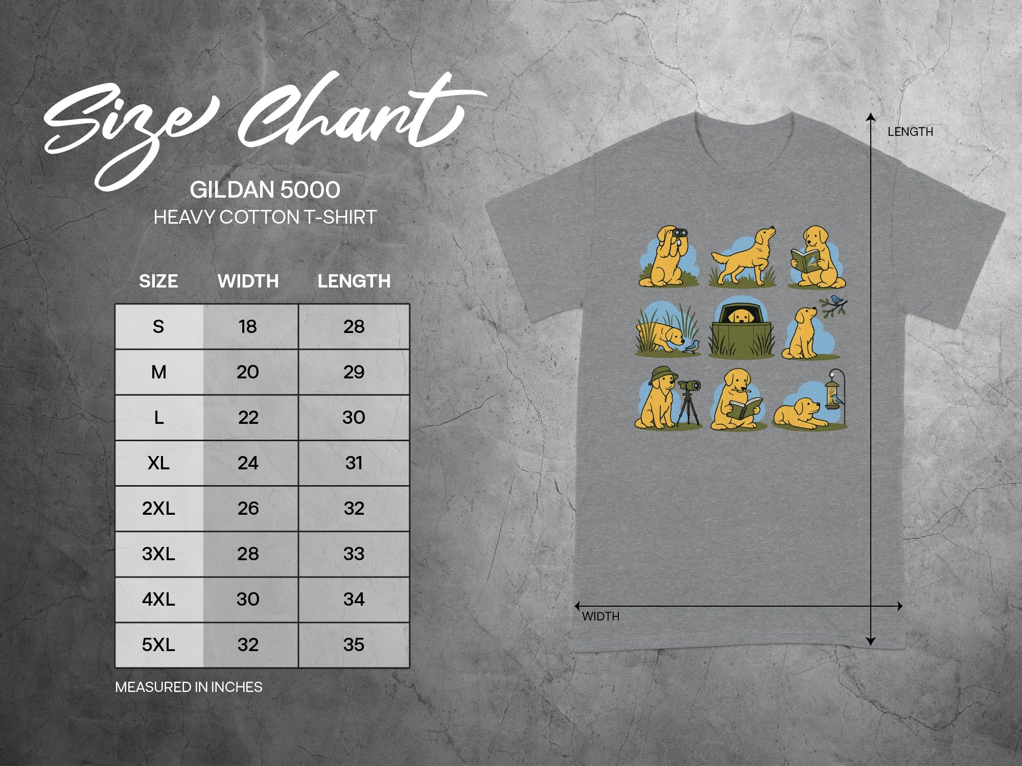 Gildan 5000 Heavy Cotton T-shirt size chart with width and length measurements in inches.