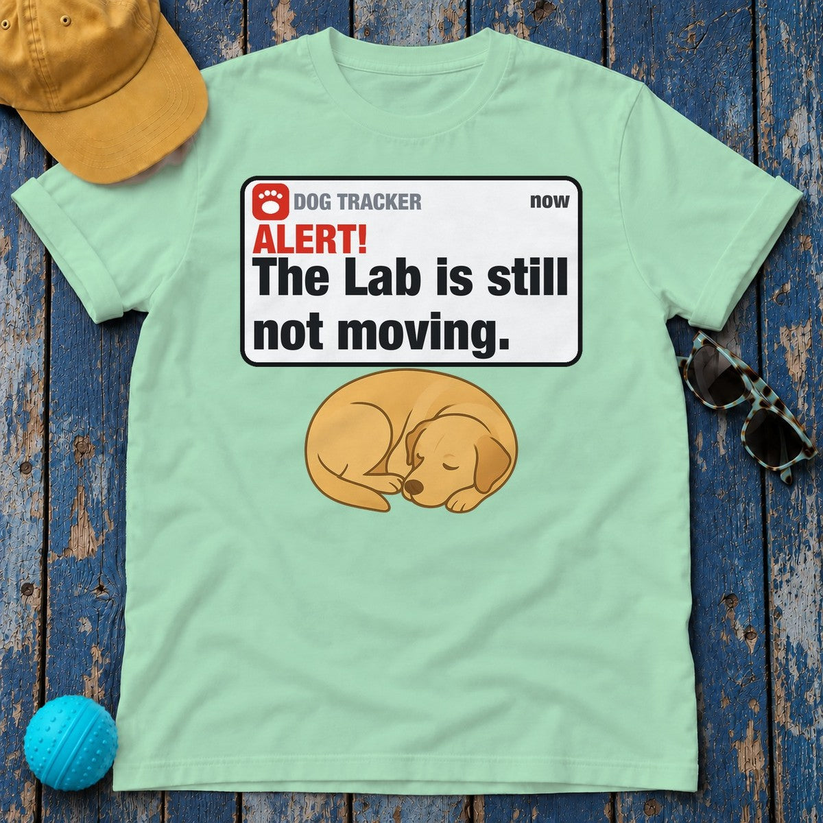 Lab Alert Still Not Moving Tee in Mint