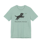 Stay Playful Gordon Setter T-Shirt