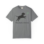 Stay Playful Vizsla T-Shirt