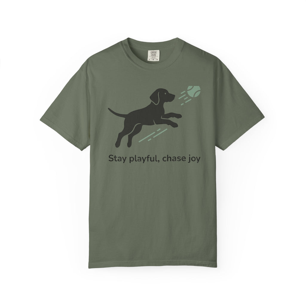 Stay Playful Vizsla T-Shirt