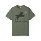 Stay Playful Vizsla T-Shirt
