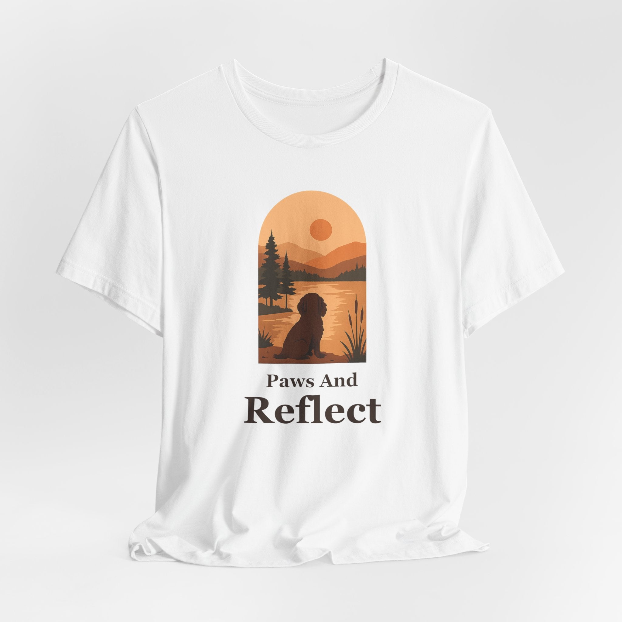Boykin Spaniel Paws and Reflect Tee