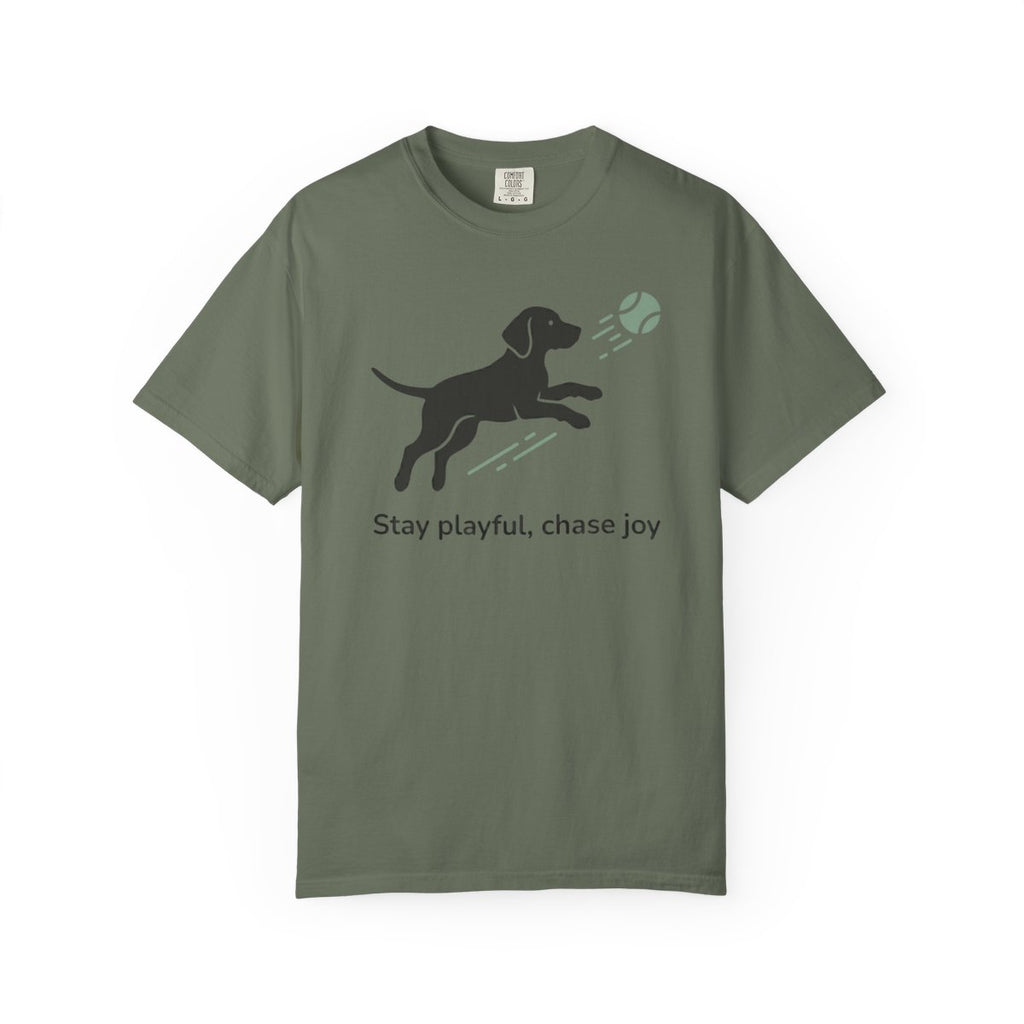 Stay Playful Chase Joy Graphic Dog T-Shirt