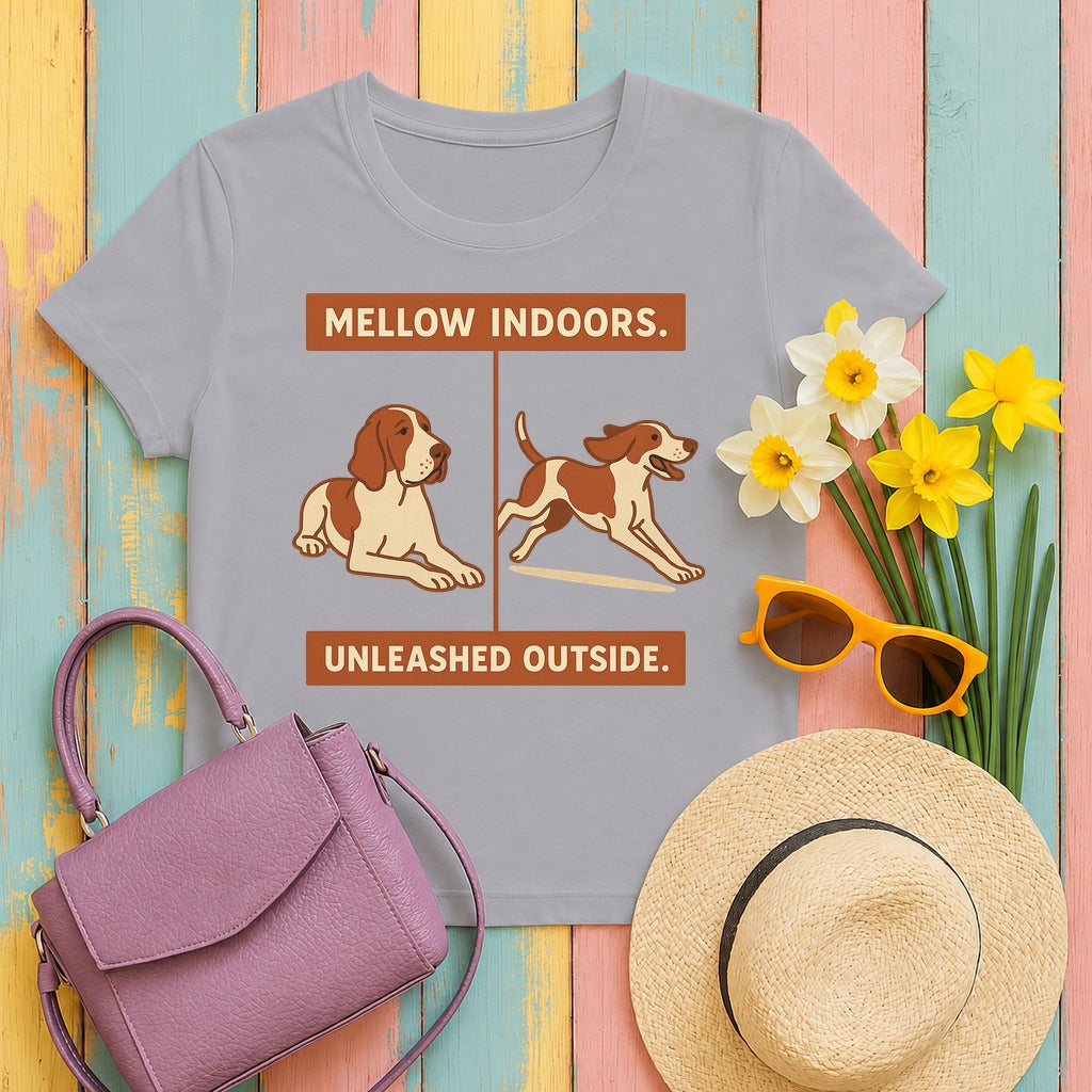 Bracco Italiano Mellow Indoors Tee in Athletic Heather