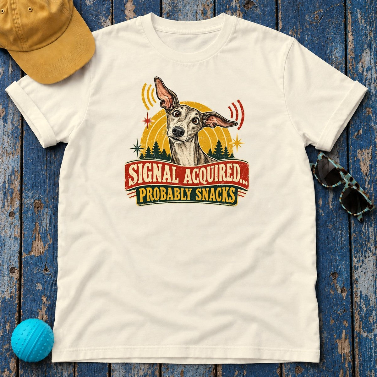 Signal Acquired Probably Snacks Greyhound T-Shirt in Natural - flat lay