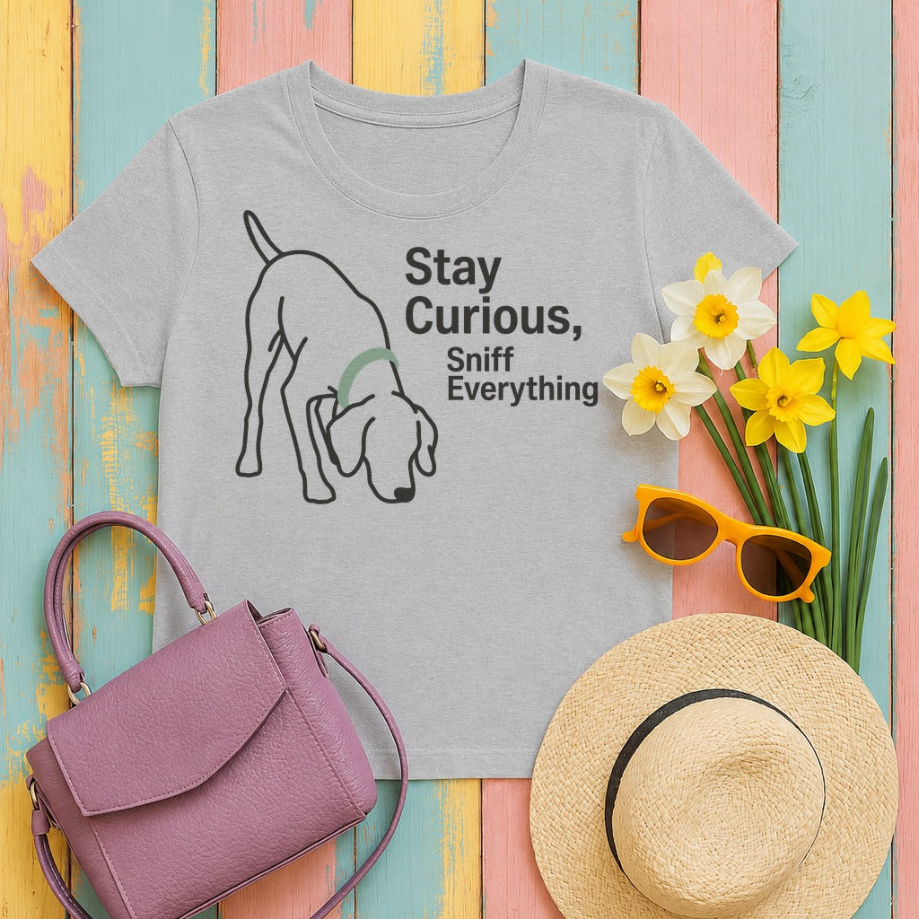 Stay Curious GSP T-Shirt in Sport Grey