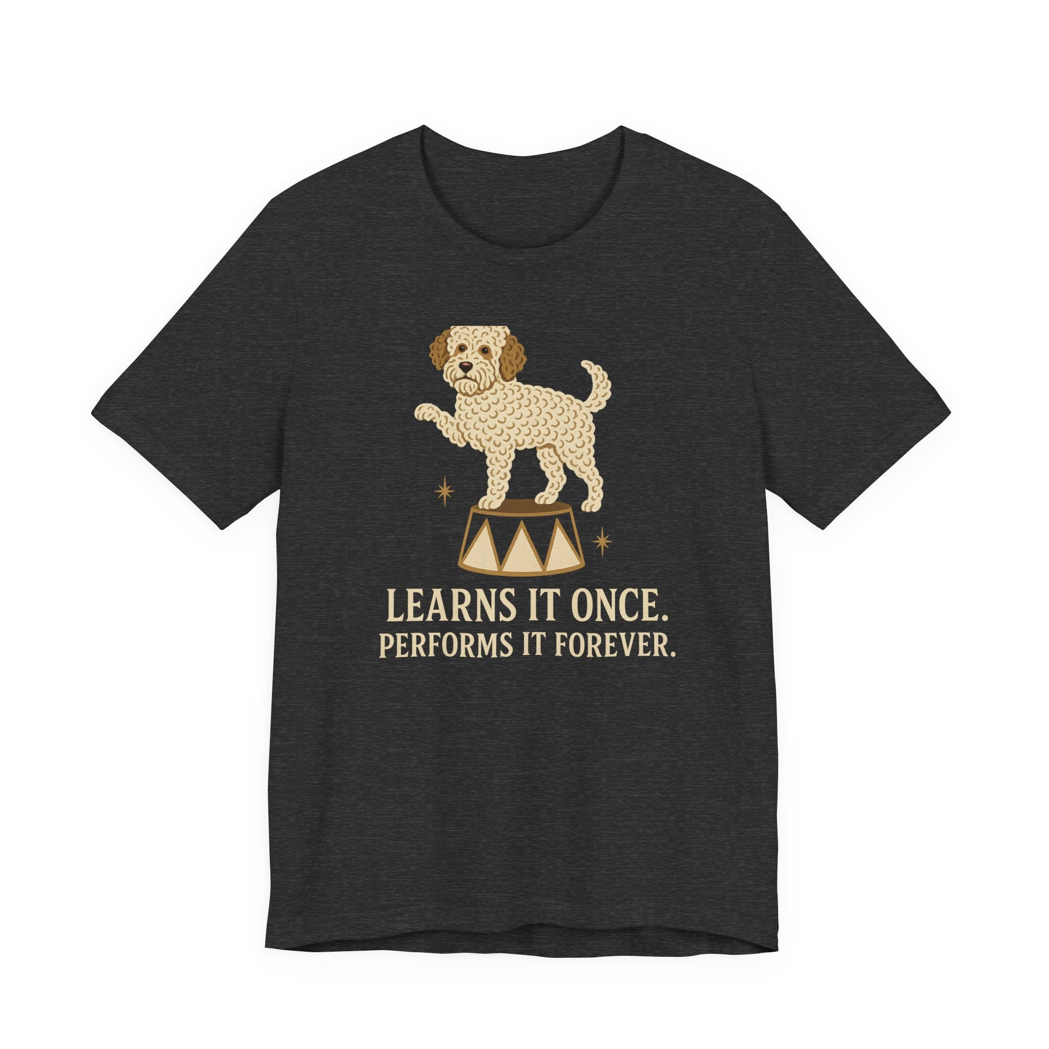 Lagotto Learns It Once Tee
