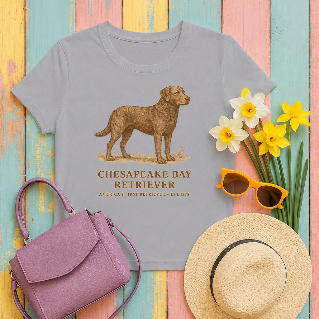 Chesapeake Bay Retriever Field Guide Tee in Athletic Heather