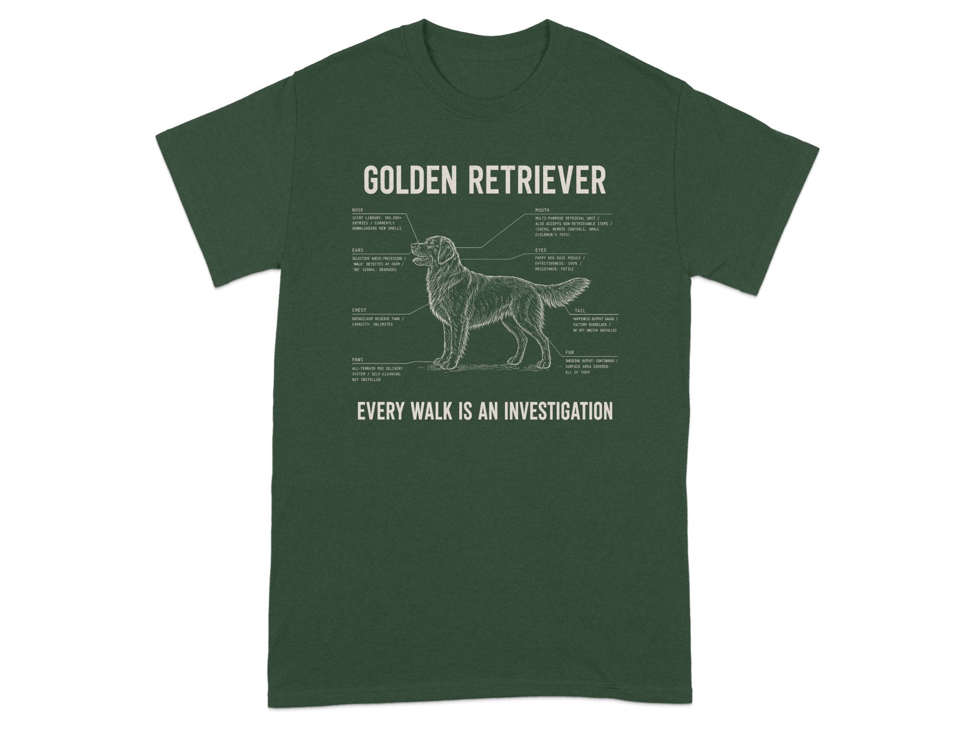 Golden Retriever anatomy diagram with humorous labels.