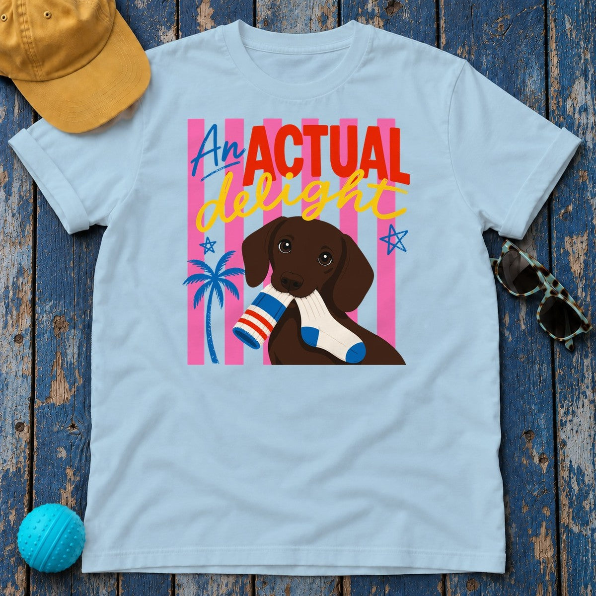 Actual Delight Dachshund & Socks T-Shirt in Light Blue