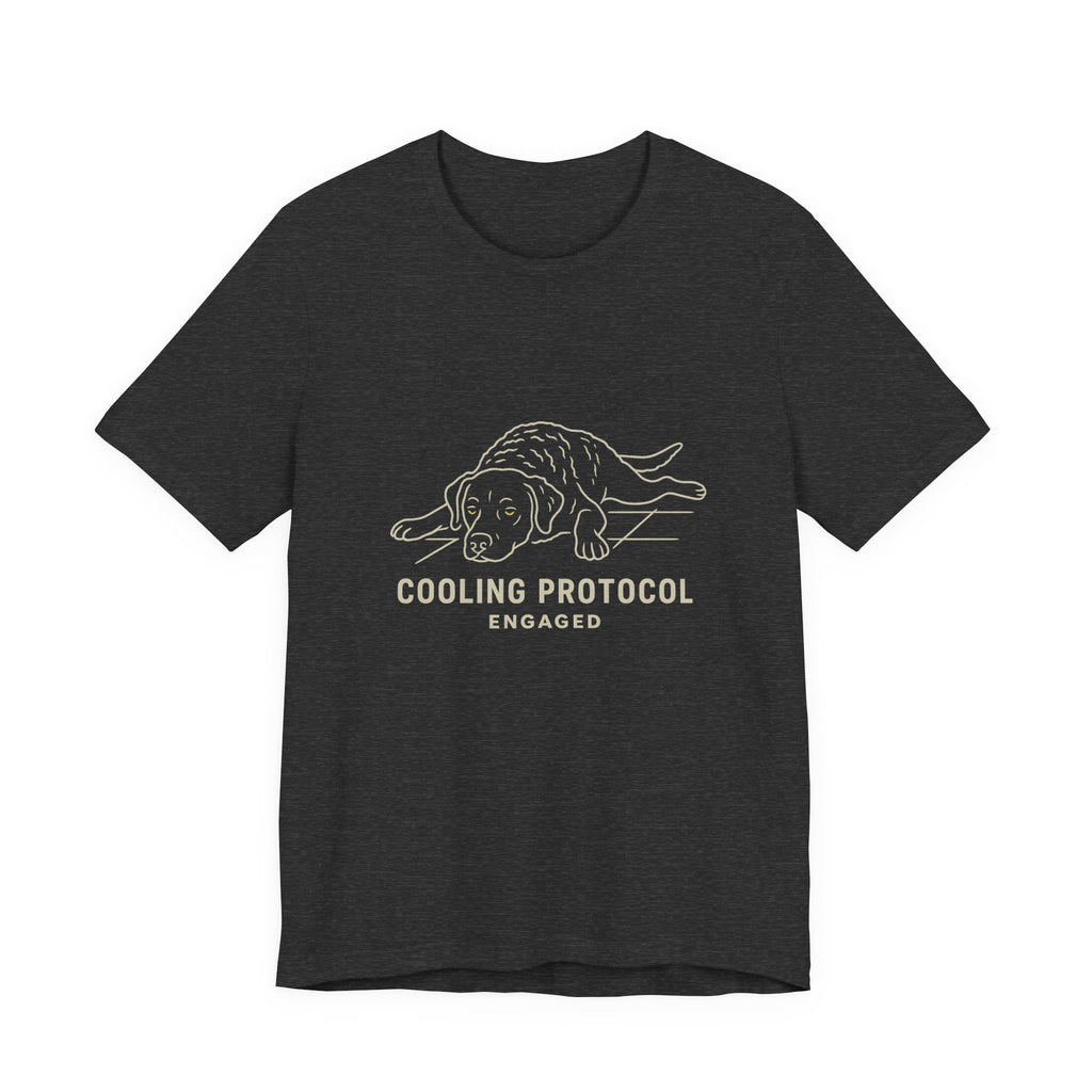 Chesapeake Cooling Protocol Tee