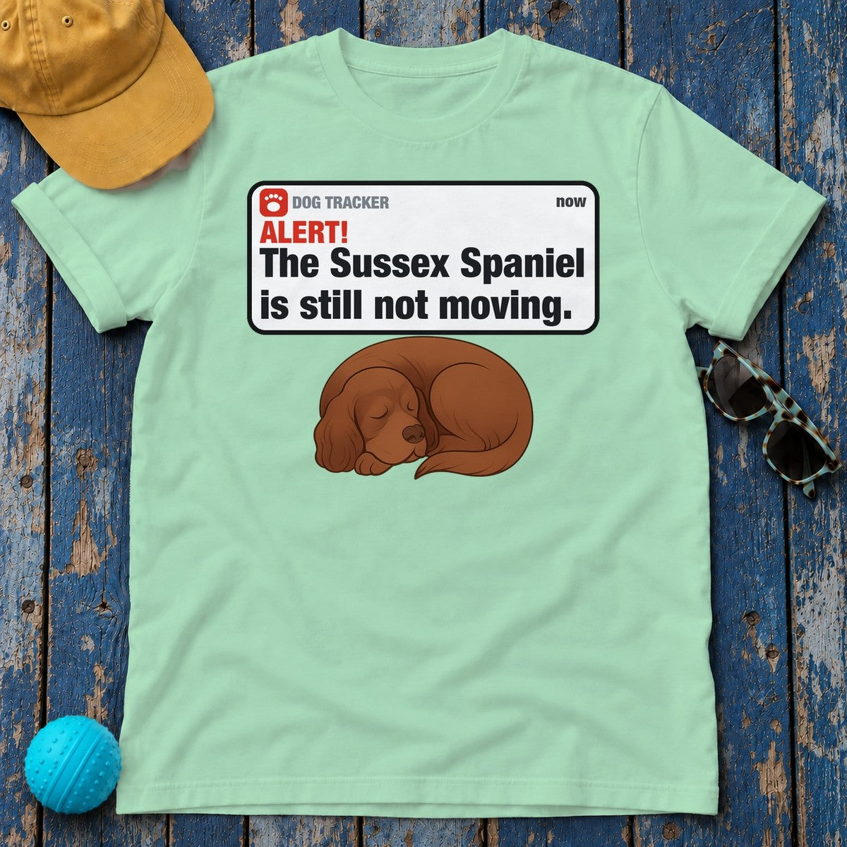 Sussex Spaniel Alert Still Not Moving Tee in Mint