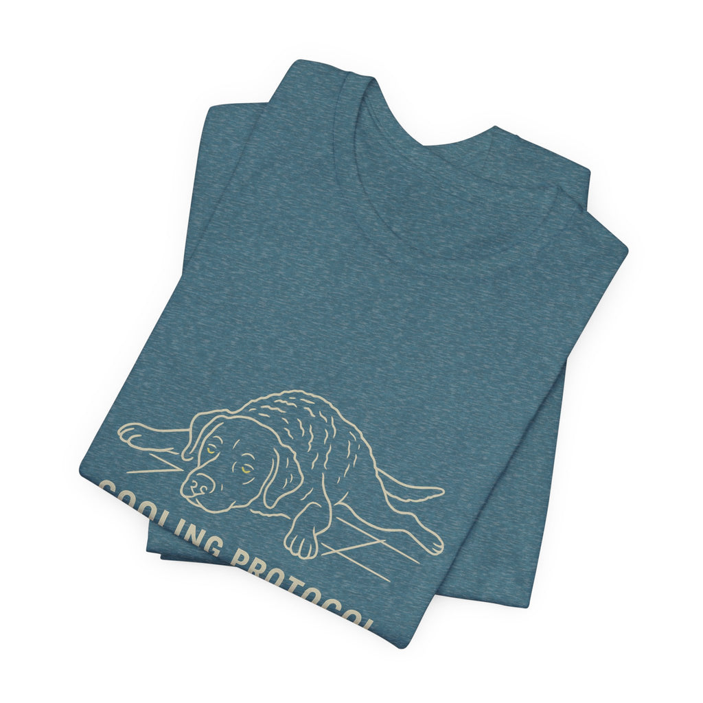 Chesapeake Cooling Protocol Tee