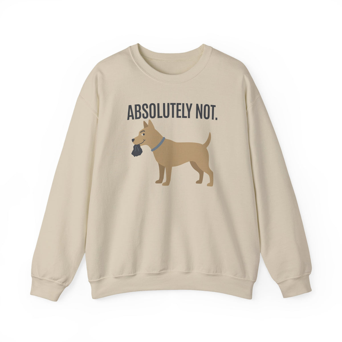 Absolutely Not Sweatshirt in Sand
