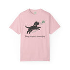 Stay Playful Chase Joy Dog Playing T-shirt