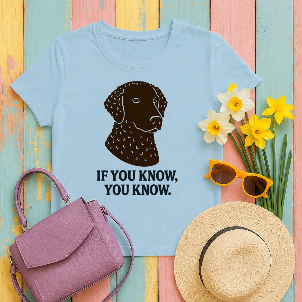Curly-Coated Retriever If You Know You Know Tee in Light Blue