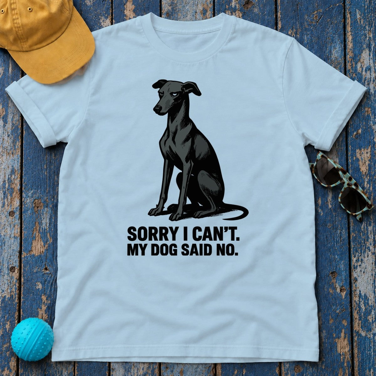 Greyhound Sorry I Can't My Dog Said No Tee in Light Blue