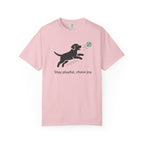 Stay playful chase joy cute dog design t-shirt
