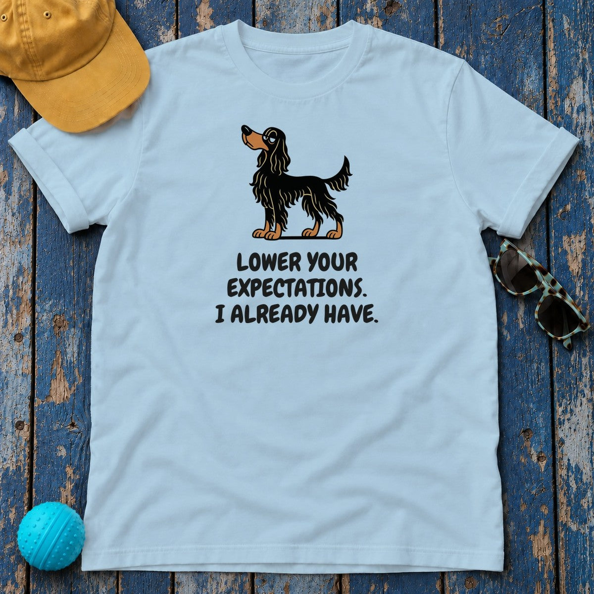 Gordon Setter Lower Your Expectations Tee in Light Blue