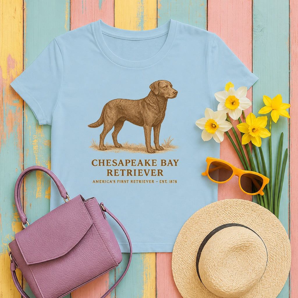 Chesapeake Bay Retriever Field Guide Tee in Light Blue