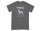 Vizsla schematic with humorous labels like "Mud Magnet Paws" and "Zoom Mode."