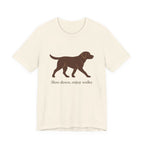 Chocolate Lab Slow Down Enjoy Walks Tee