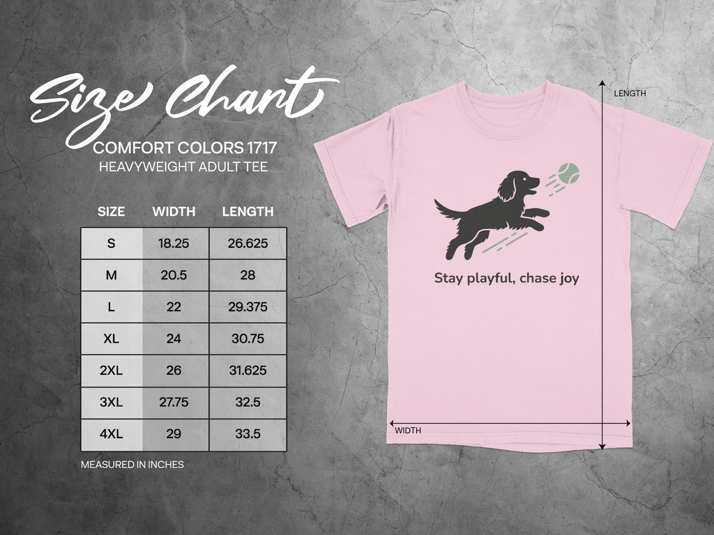 Stay playful chase joy Comfort Colors 1717 adult tee
