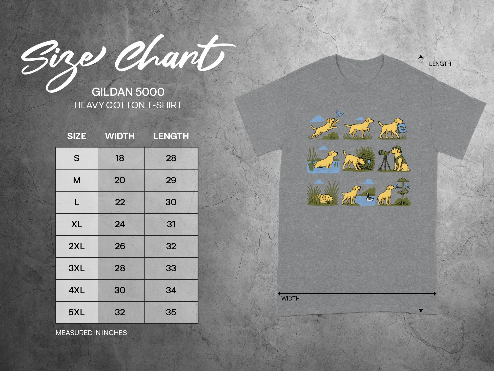 Gildan 5000 heavy cotton t-shirt size chart with width and length measurements in inches.