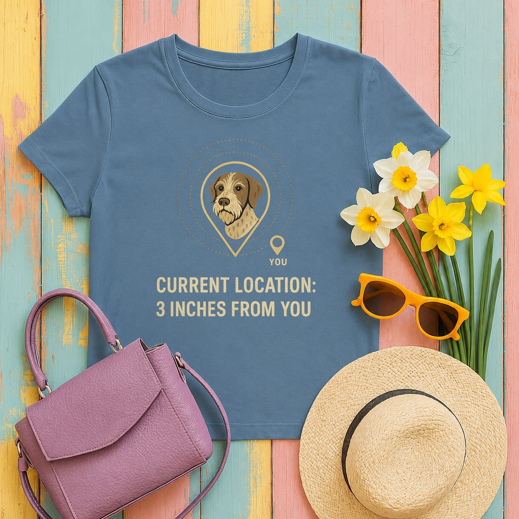 GWP Current Location Tee in Steel Blue