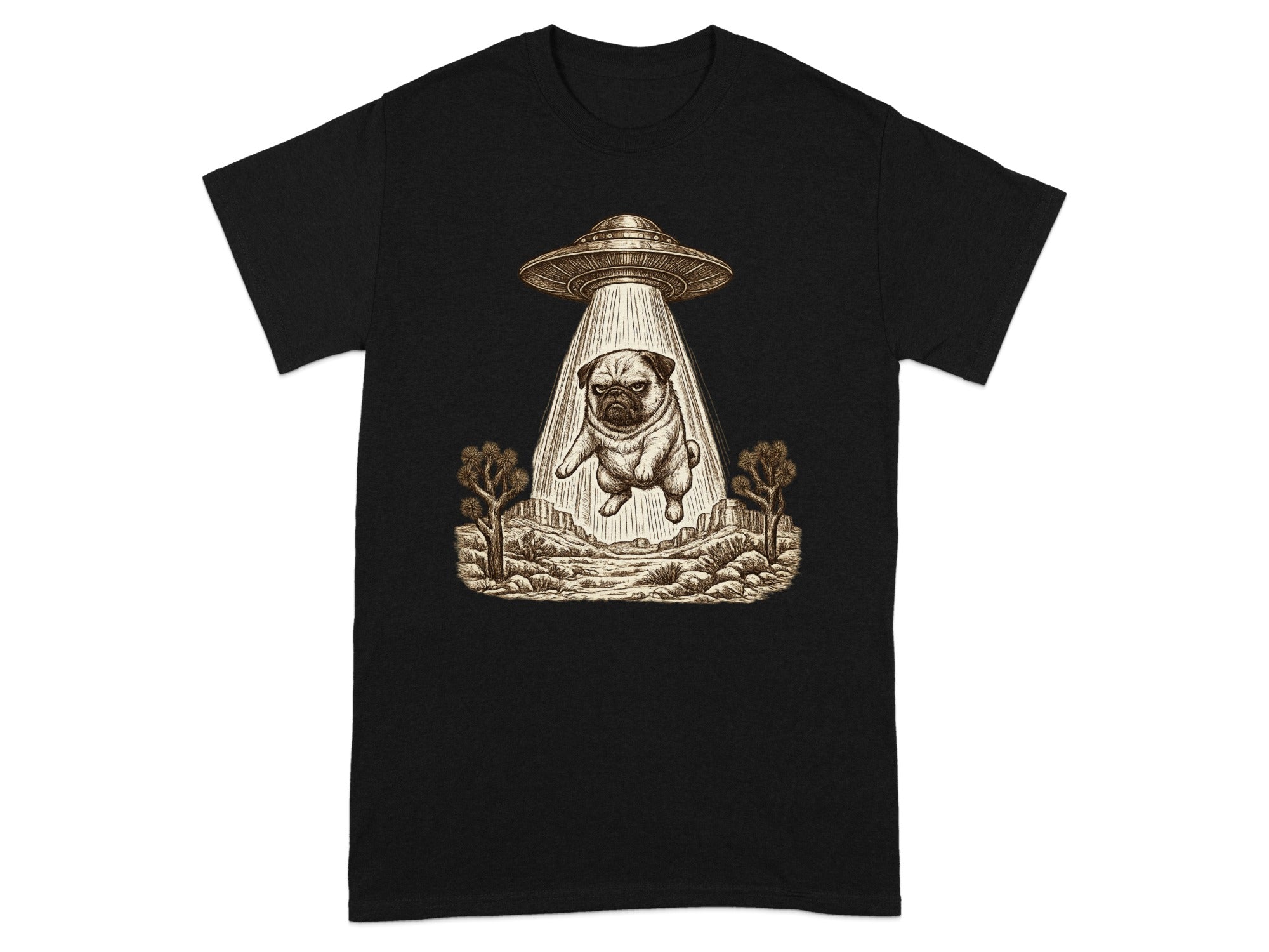 UFO beam abducts a grumpy pug in a desert landscape.