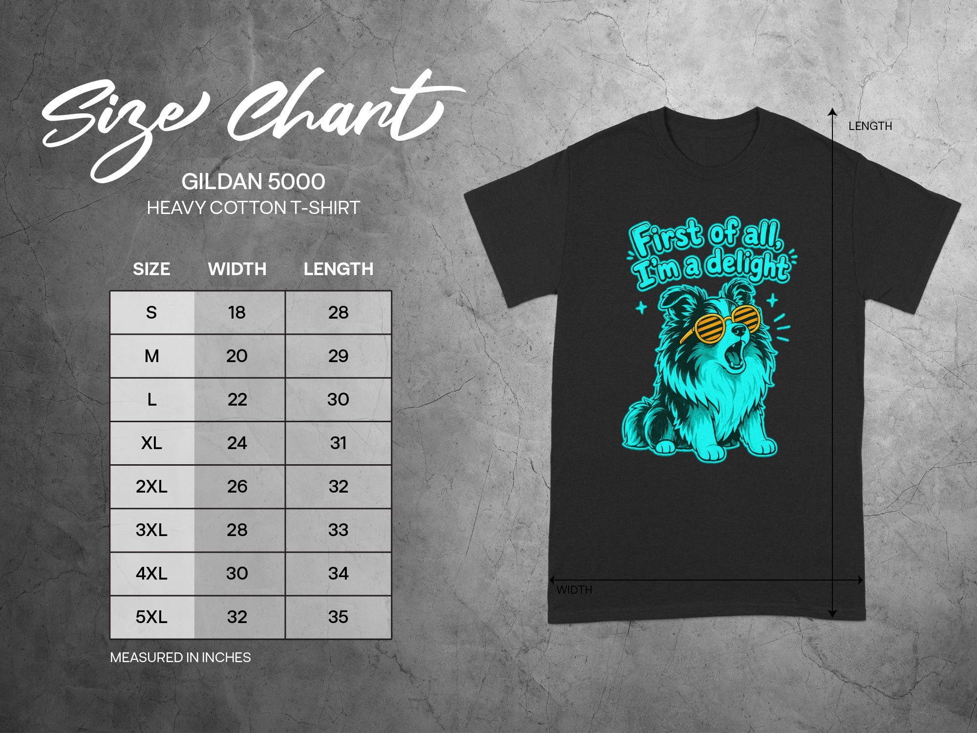 Gildan 5000 size chart with t-shirt graphic and measurements in inches.