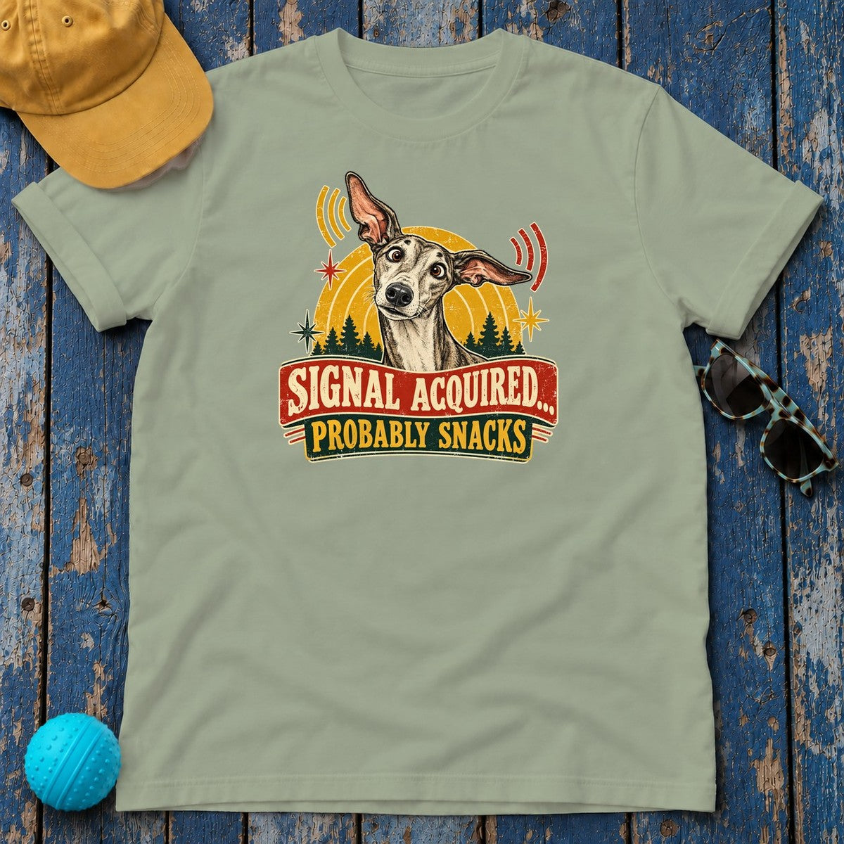Signal Acquired Probably Snacks Greyhound T-Shirt in Sage - flat lay