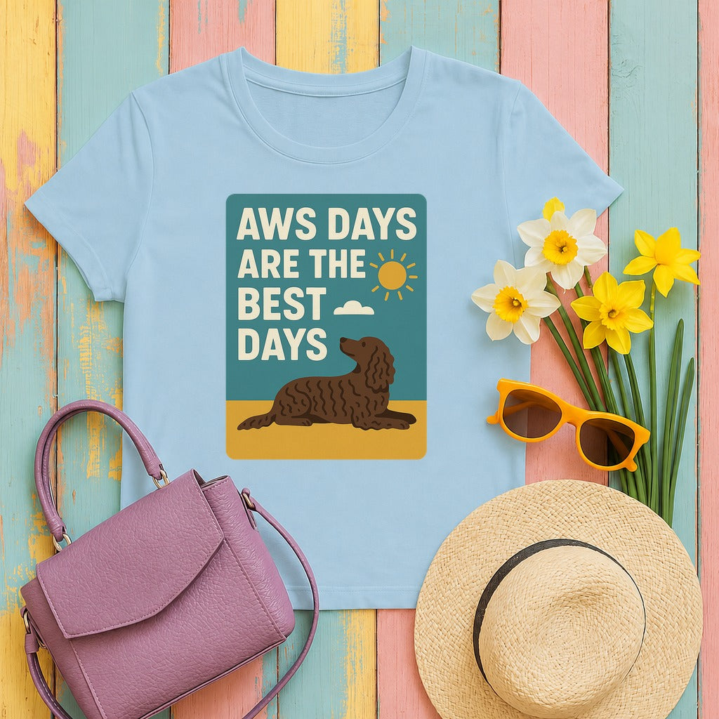 American Water Spaniel AWS Days Are The Best Days Tee in Light Blue