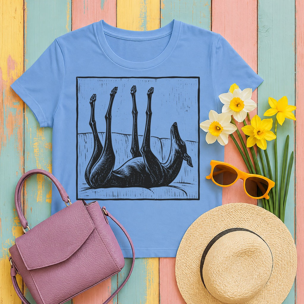 Upside Down Sleeping Greyhound T-Shirt in Carolina Blue
