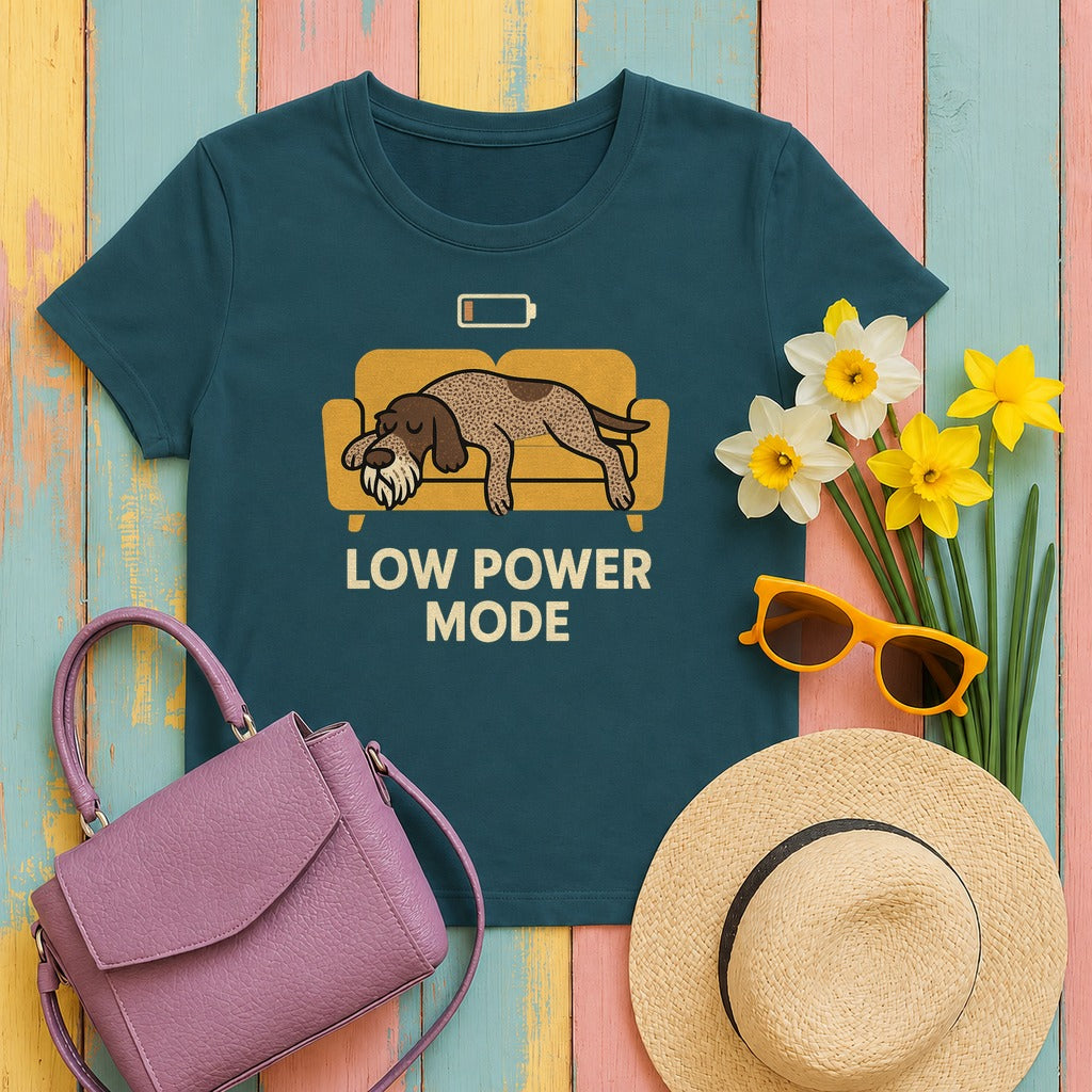 Spinone Italiano Low Power Mode Tee in Heather Deep Teal