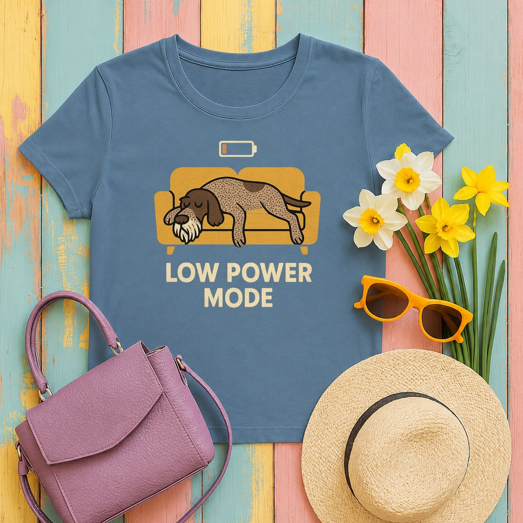 Spinone Italiano Low Power Mode Tee in Steel Blue