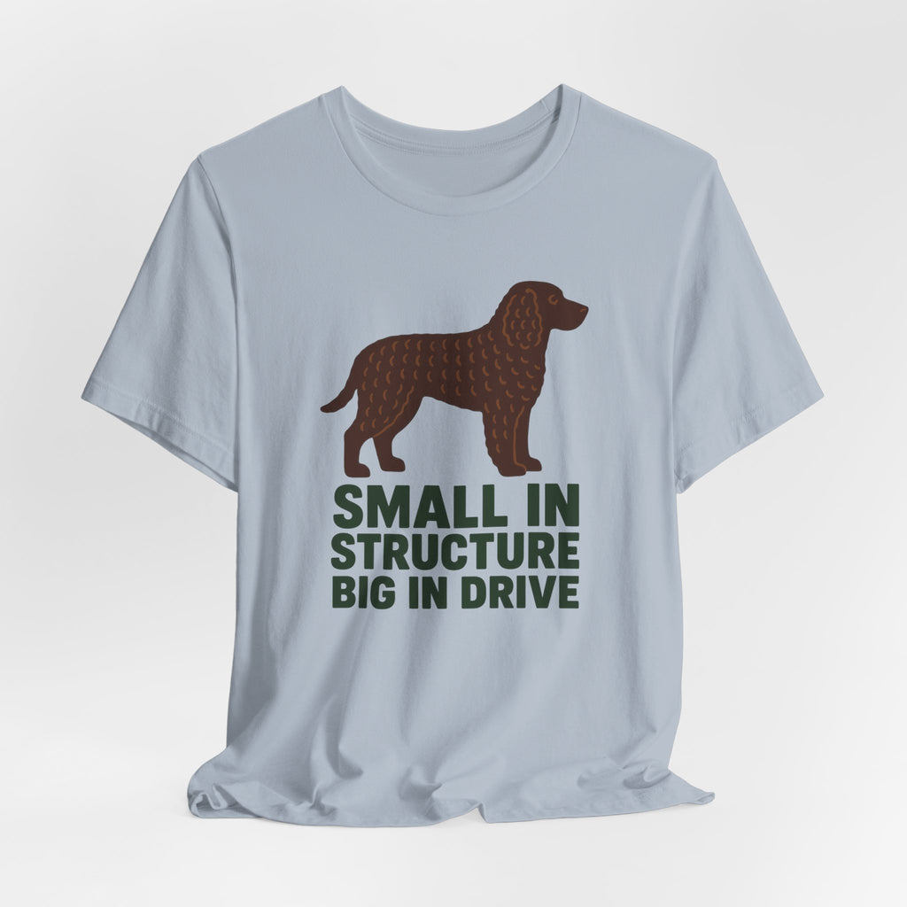 American Water Spaniel Small In Structure Big In Drive Tee