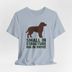 American Water Spaniel Small In Structure Big In Drive Tee