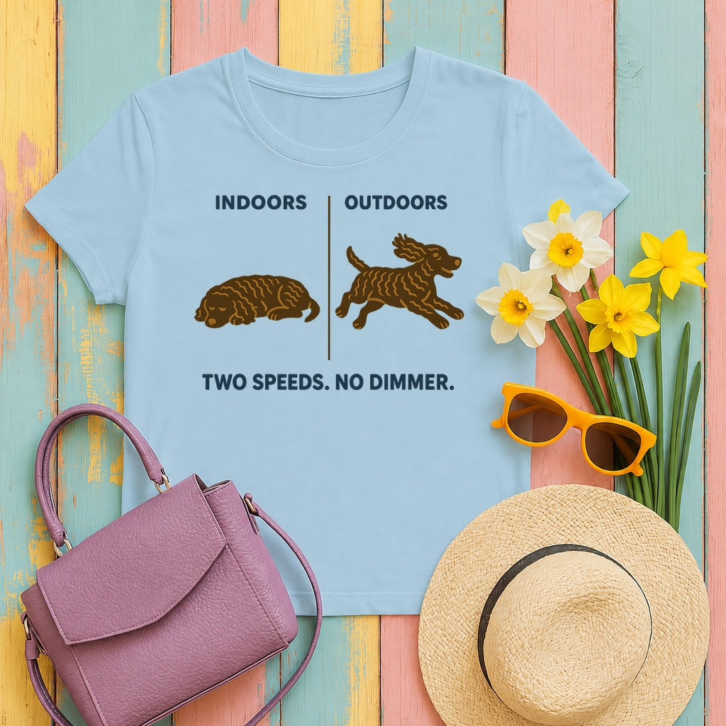 American Water Spaniel Two Speeds No Dimmer Tee in Light Blue