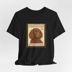 Boykin Spaniel First Class Stamp Tee