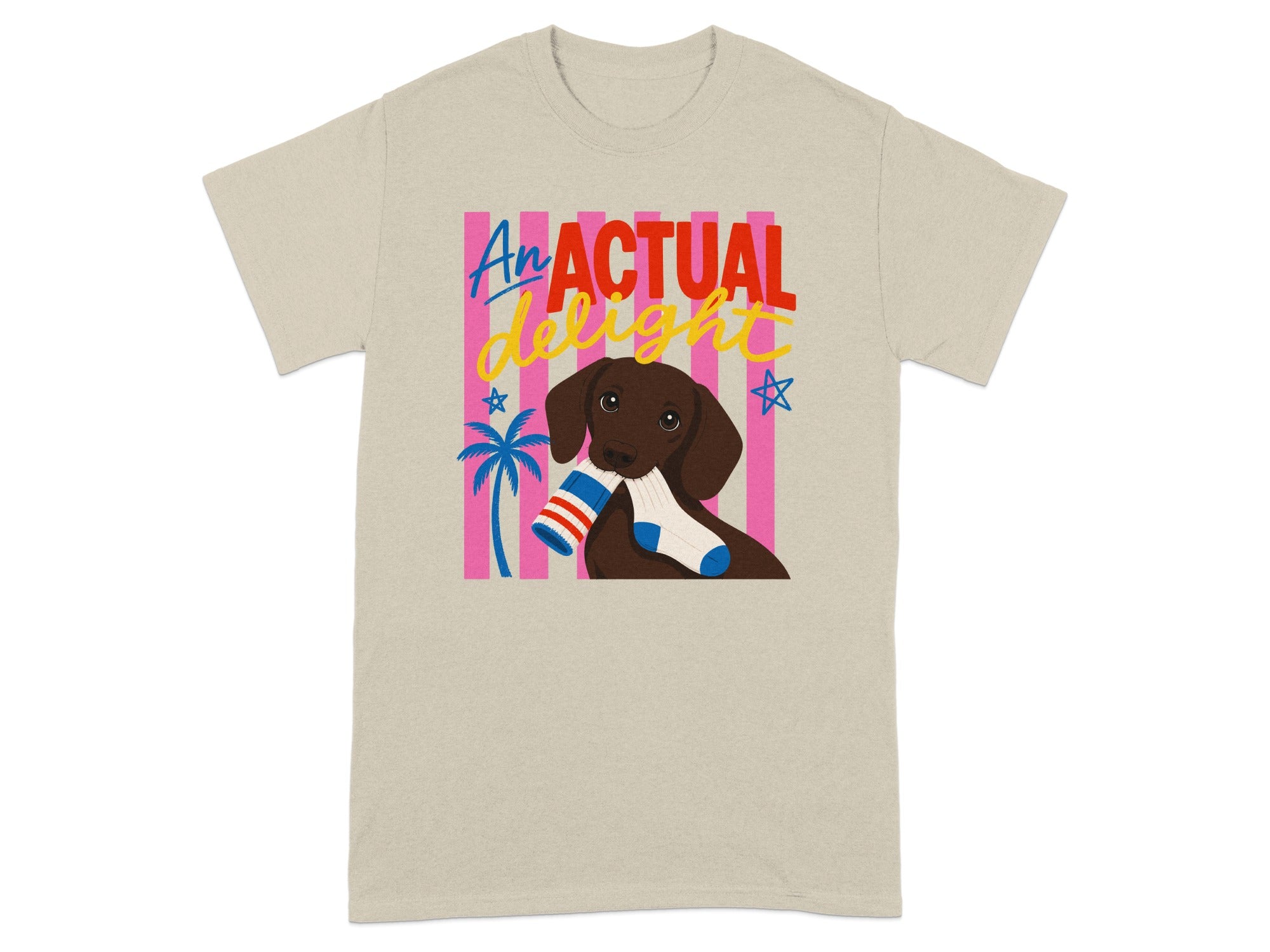 T-shirt with cartoon dog holding socks and text "An ACTUAL delight".